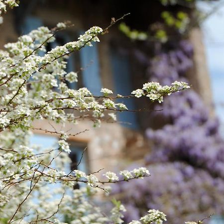 Bed and Breakfast Chambre Privative Et Originale, A 20 Mn De Cluny Trivy Экстерьер фото